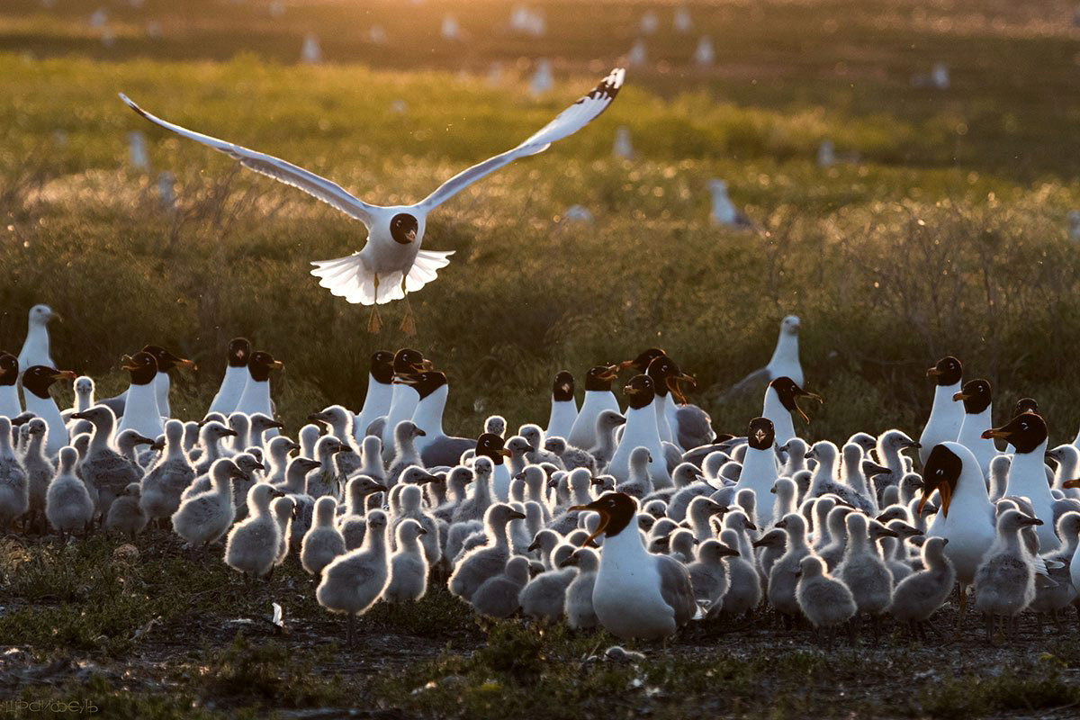 В безлюдном шумном месте