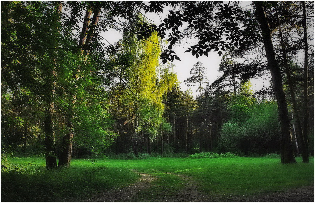 тихий вечер