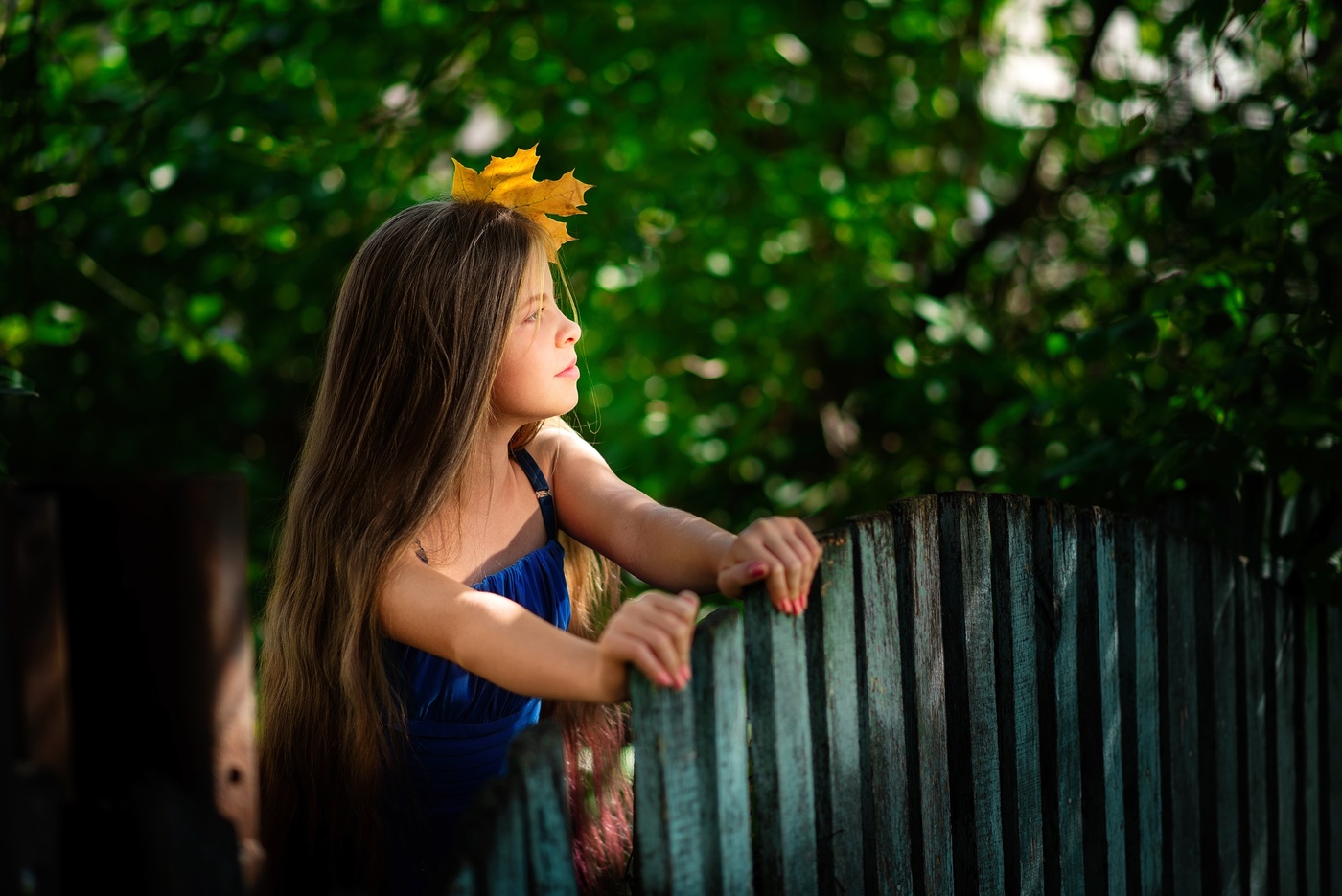 Не резной палисад