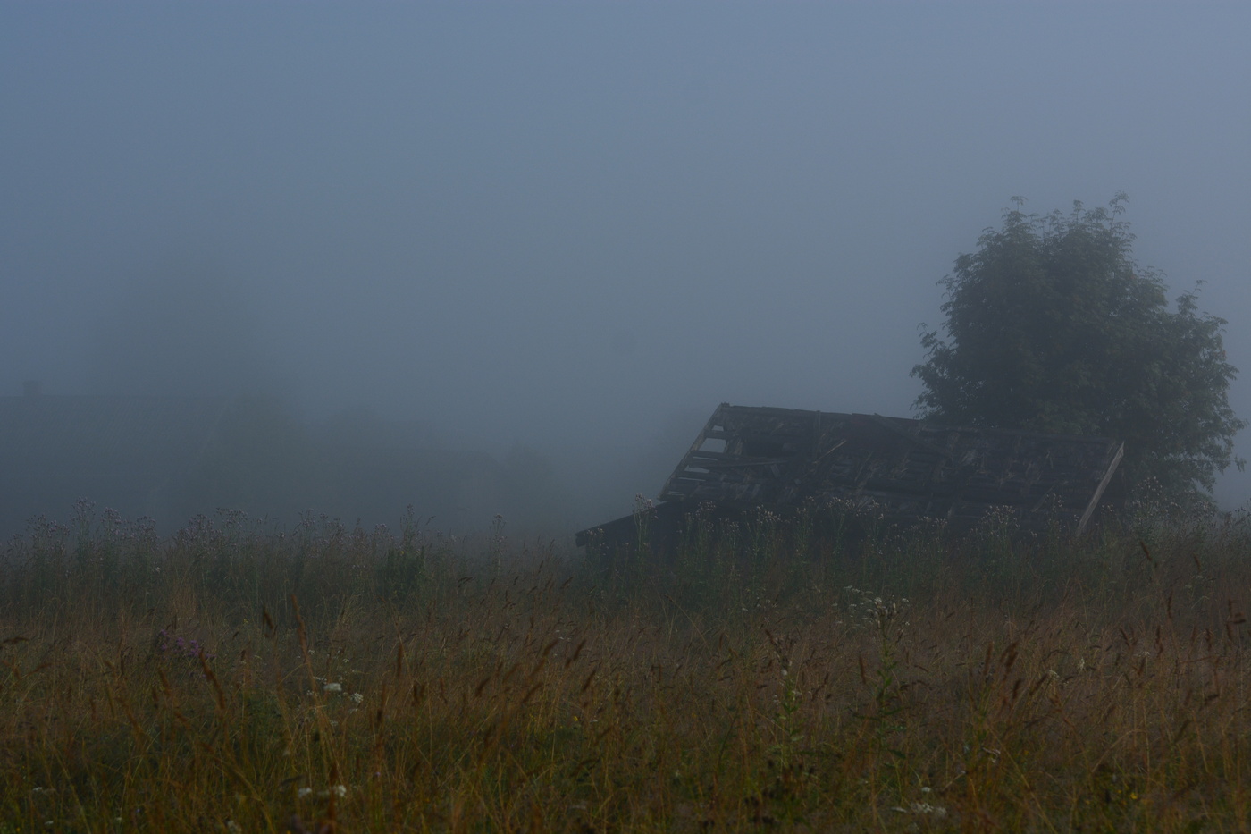 Утро туманное ...