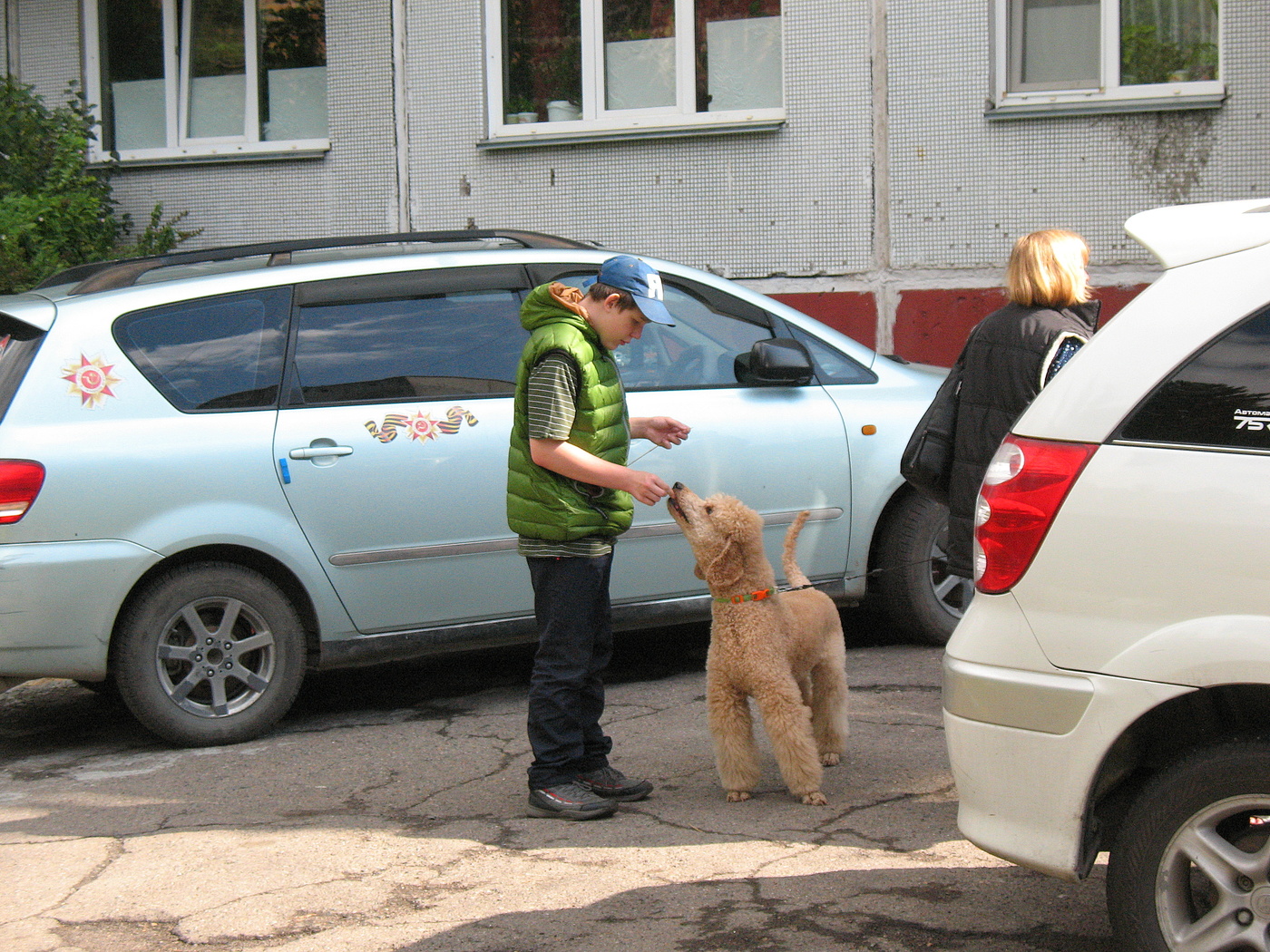 Мальчик и пудель