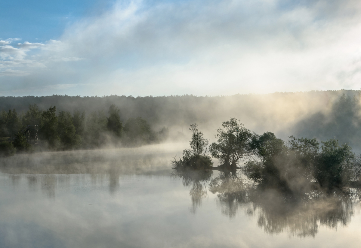 Летним утром.