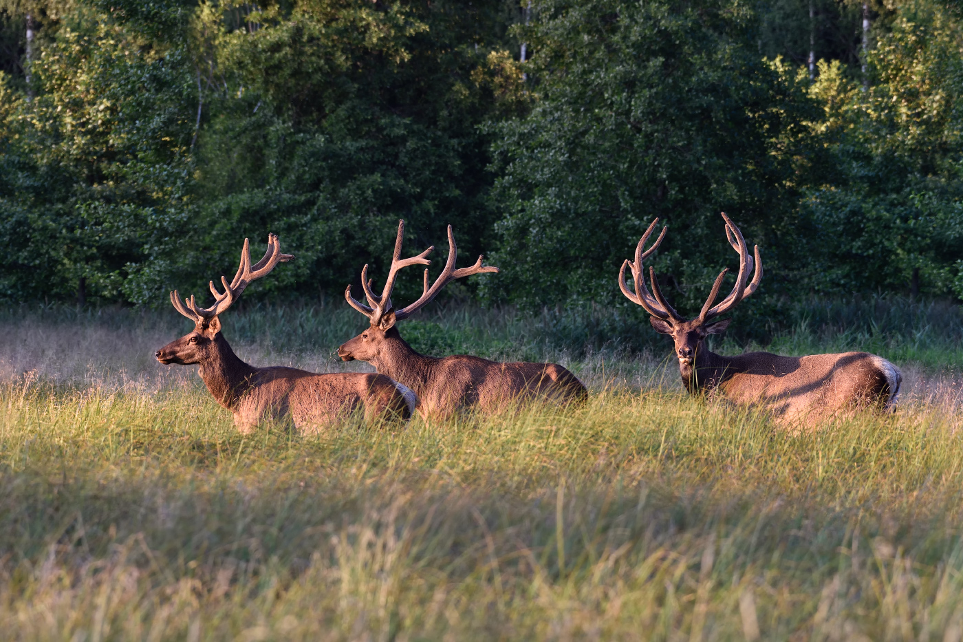 на закате...