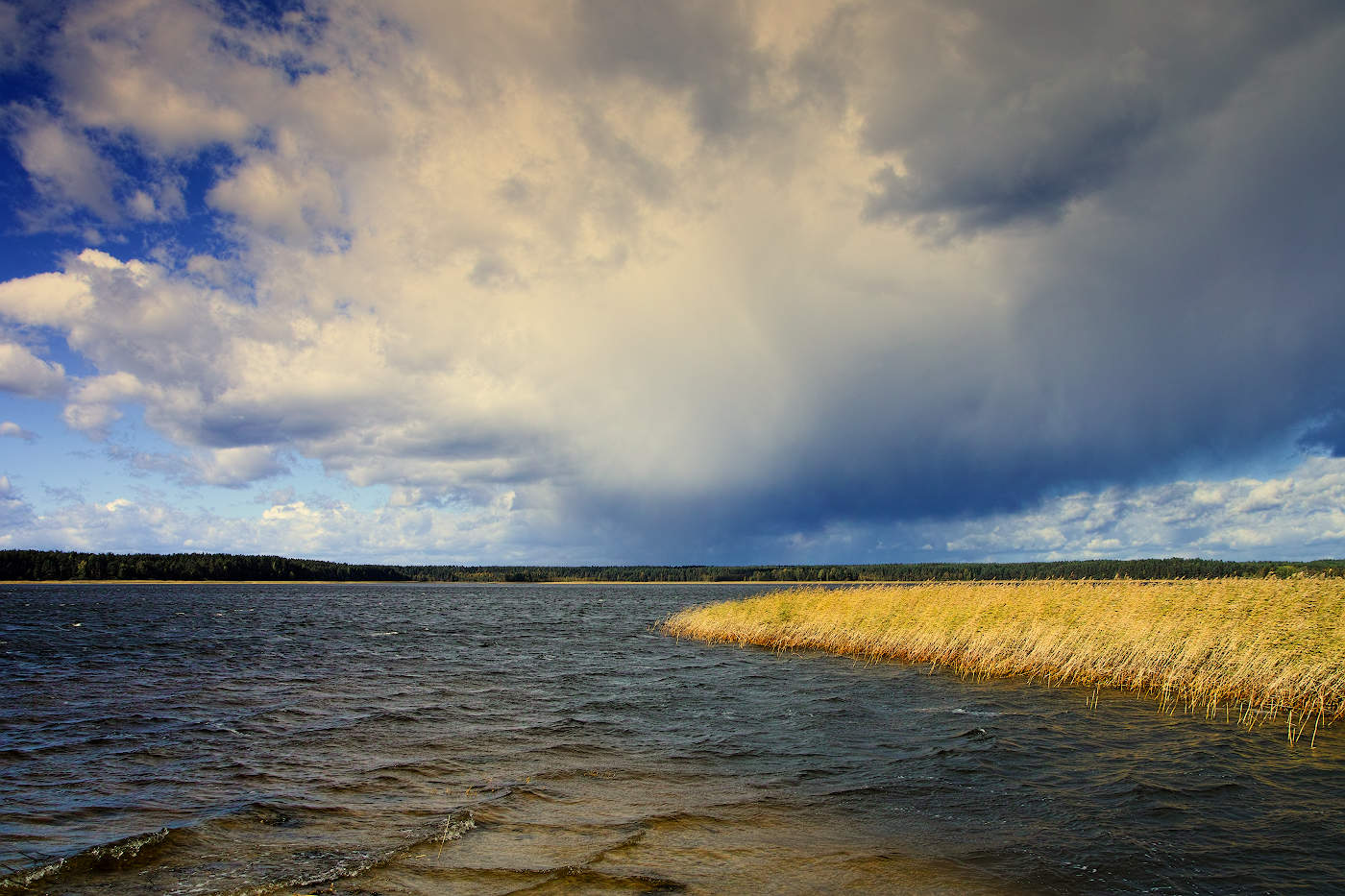Волнение на озере