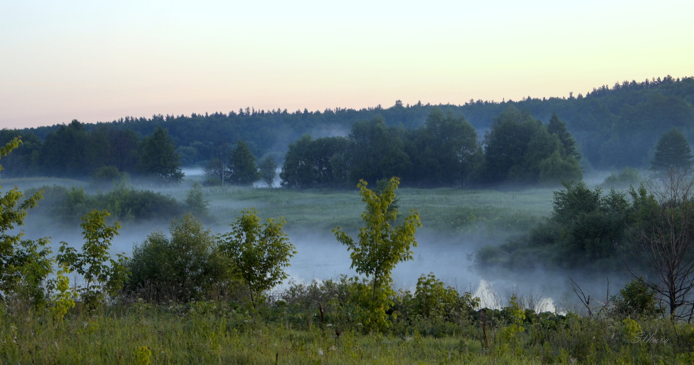 Летнее утро.