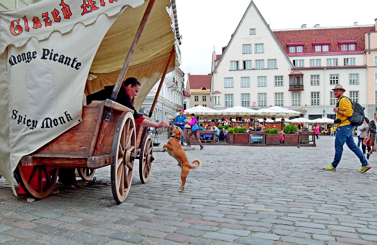 Старые друзья