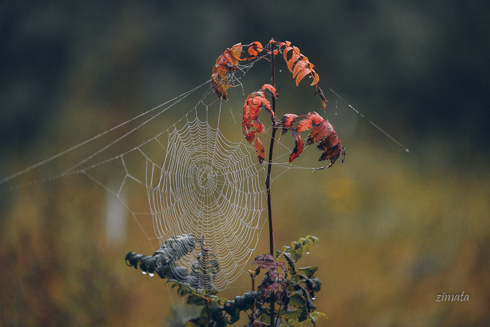 конец августа