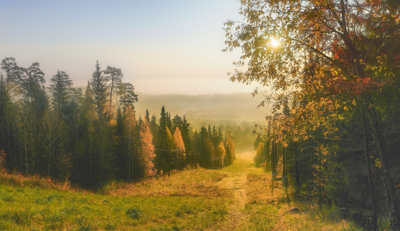 Туманное утро