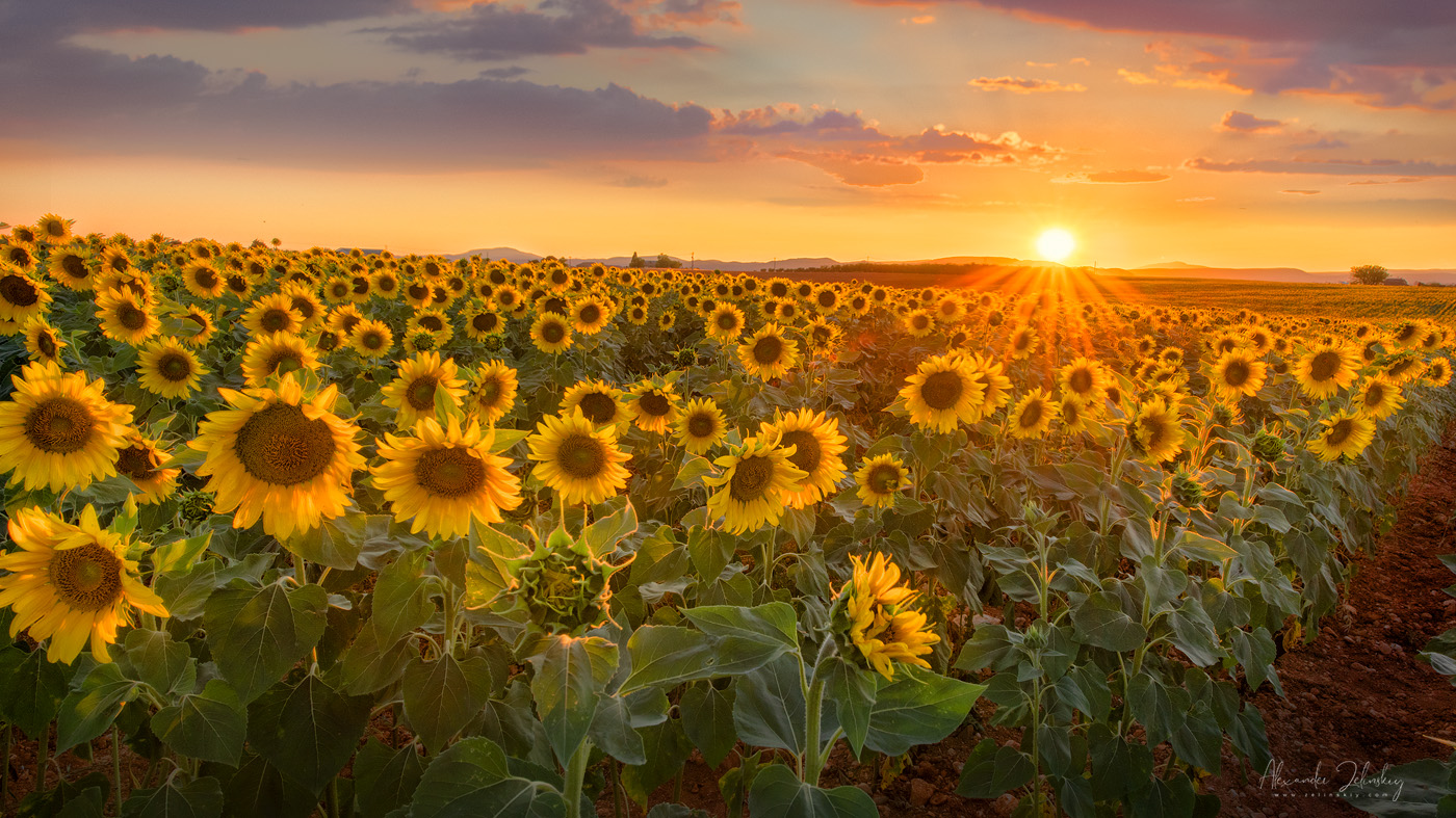 Путешествие в Прованс