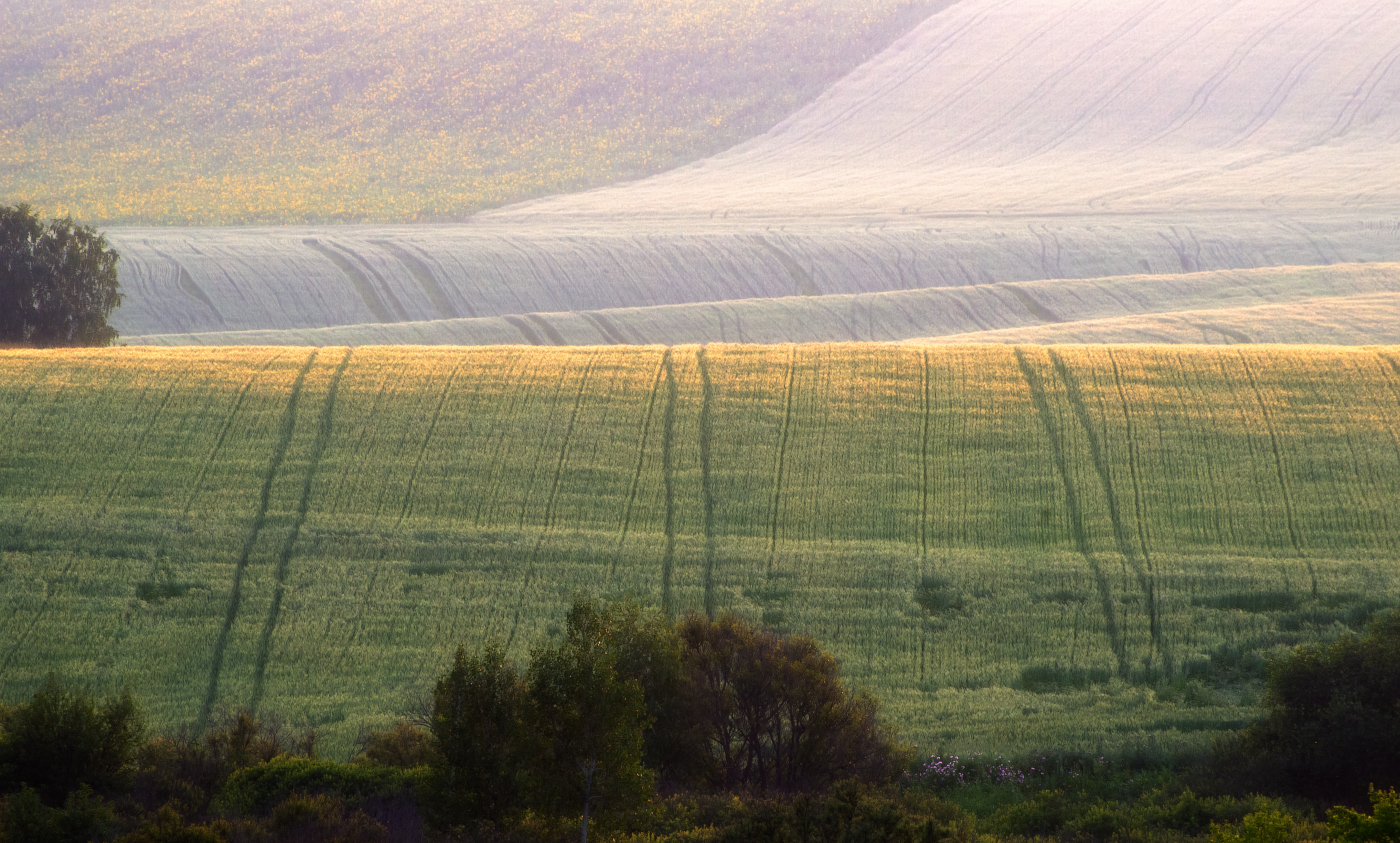 Летний вечер