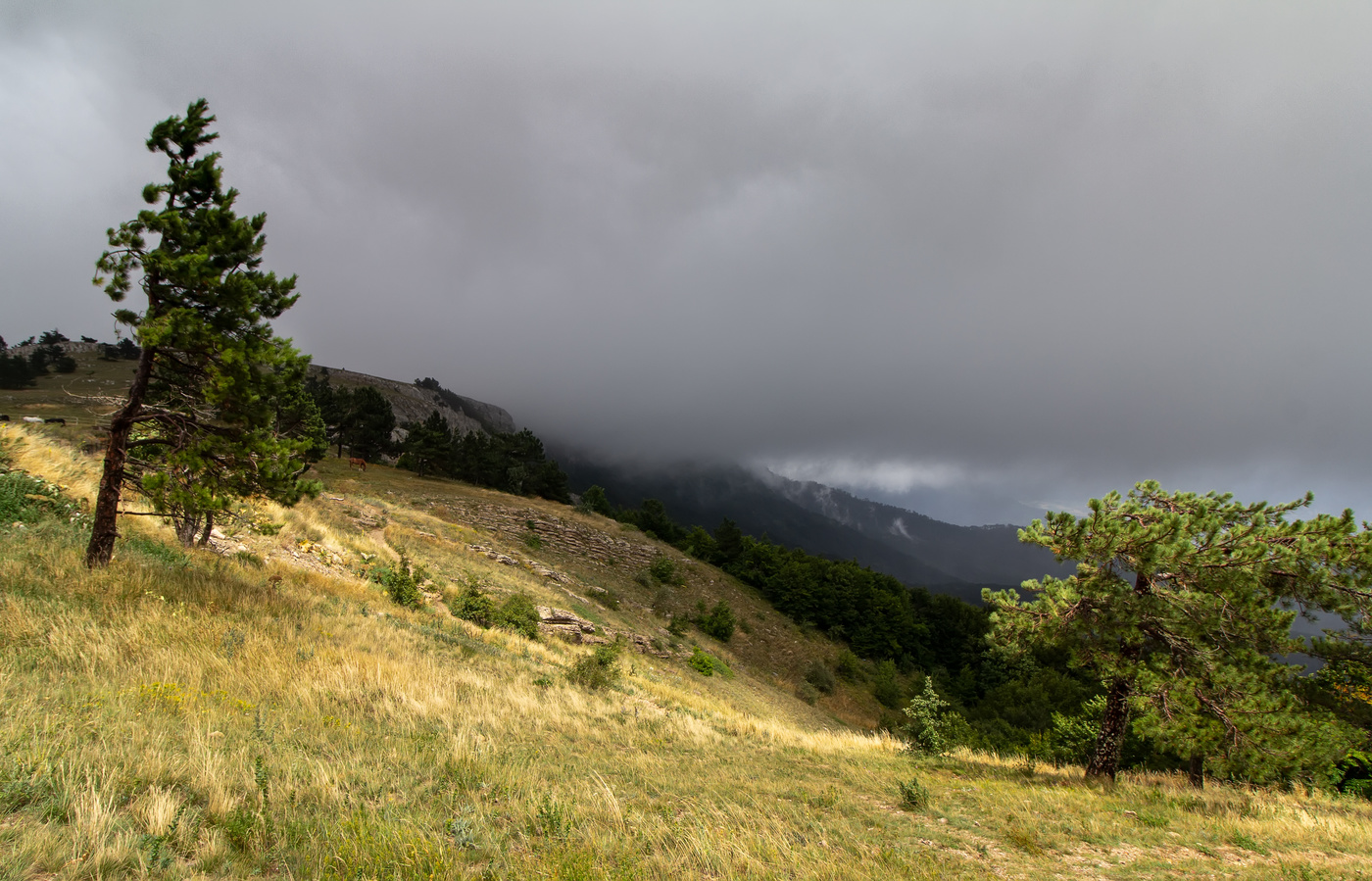 На Ай-Петри...
