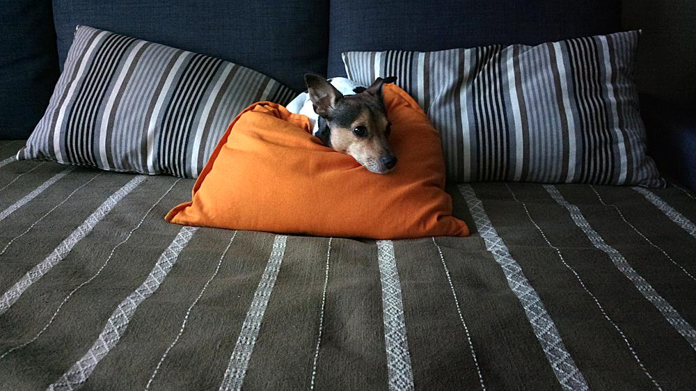 Кола в интерьере