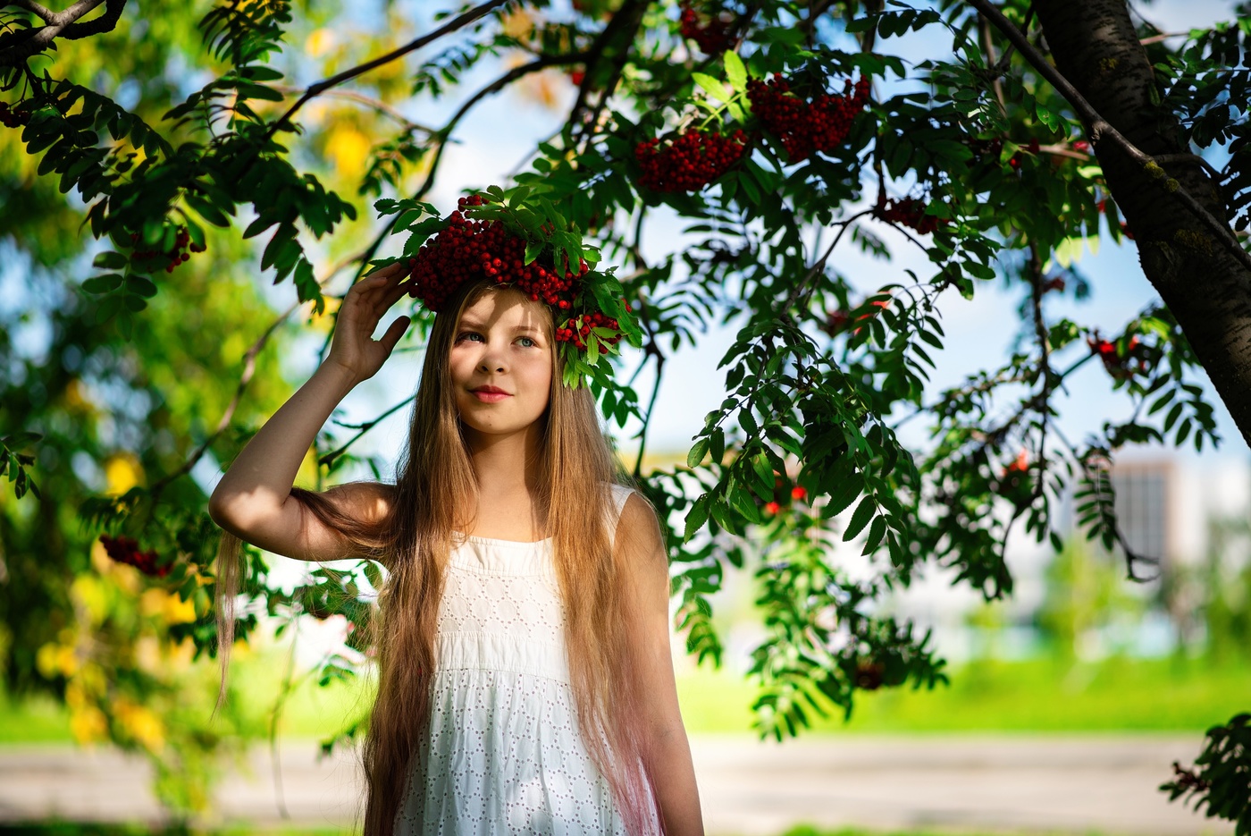 В тенях августа