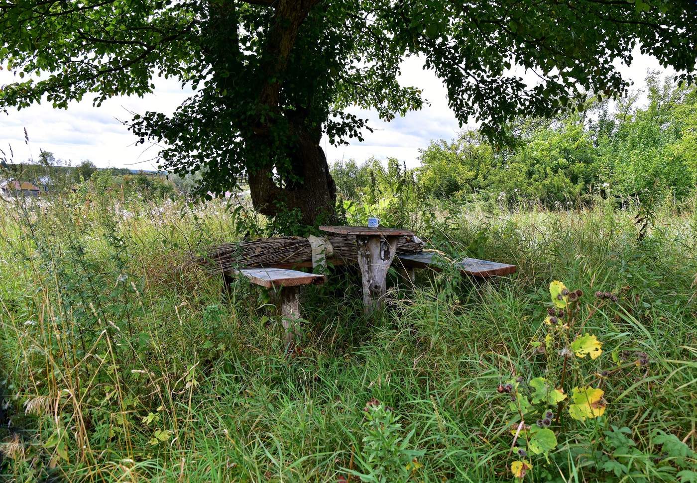 Вот и лето прошло...