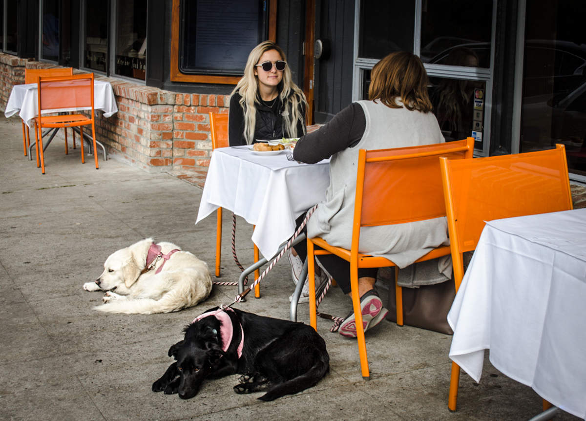 Чёрное, белое и оранжевое