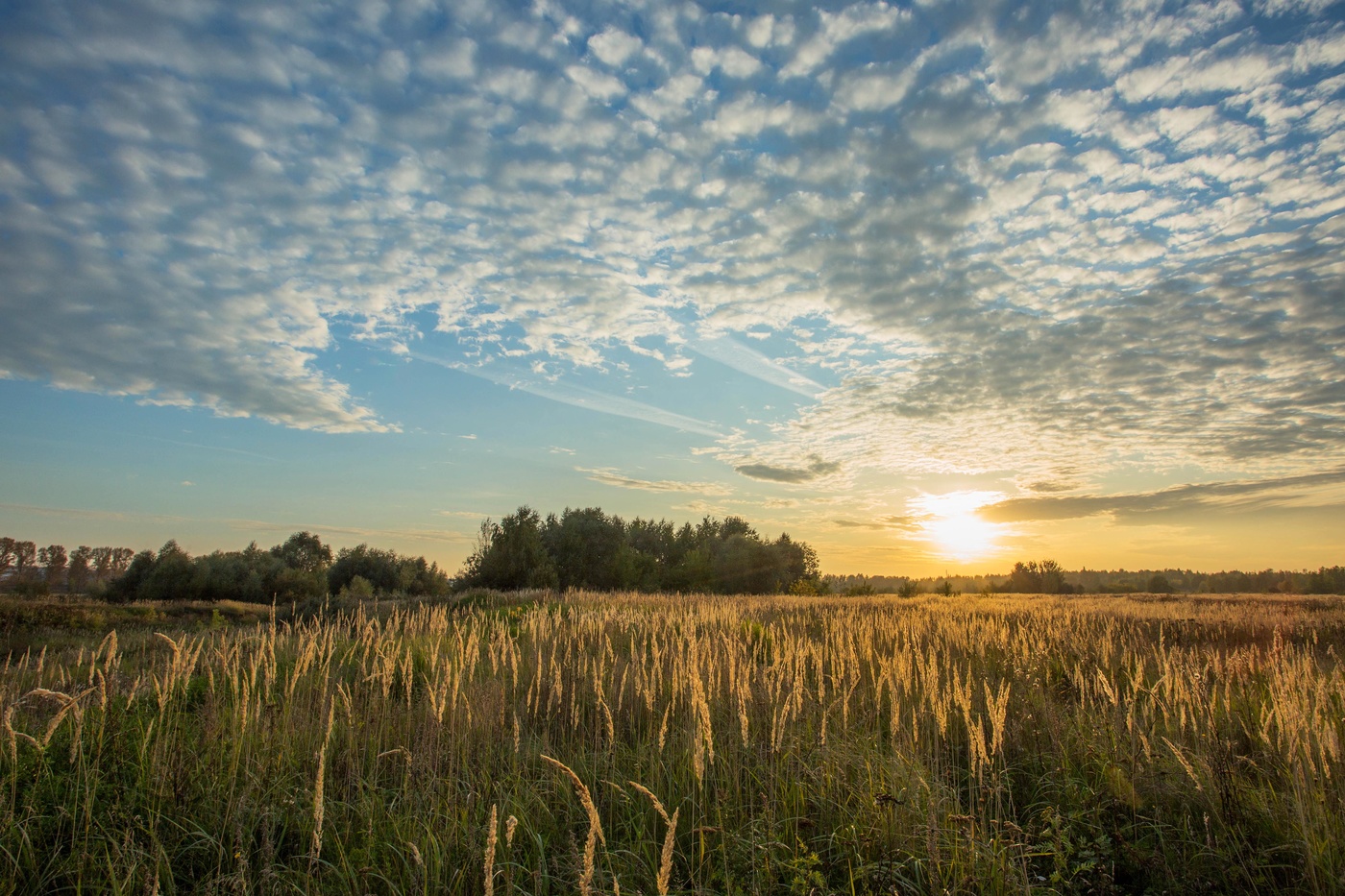 Яркий вечер