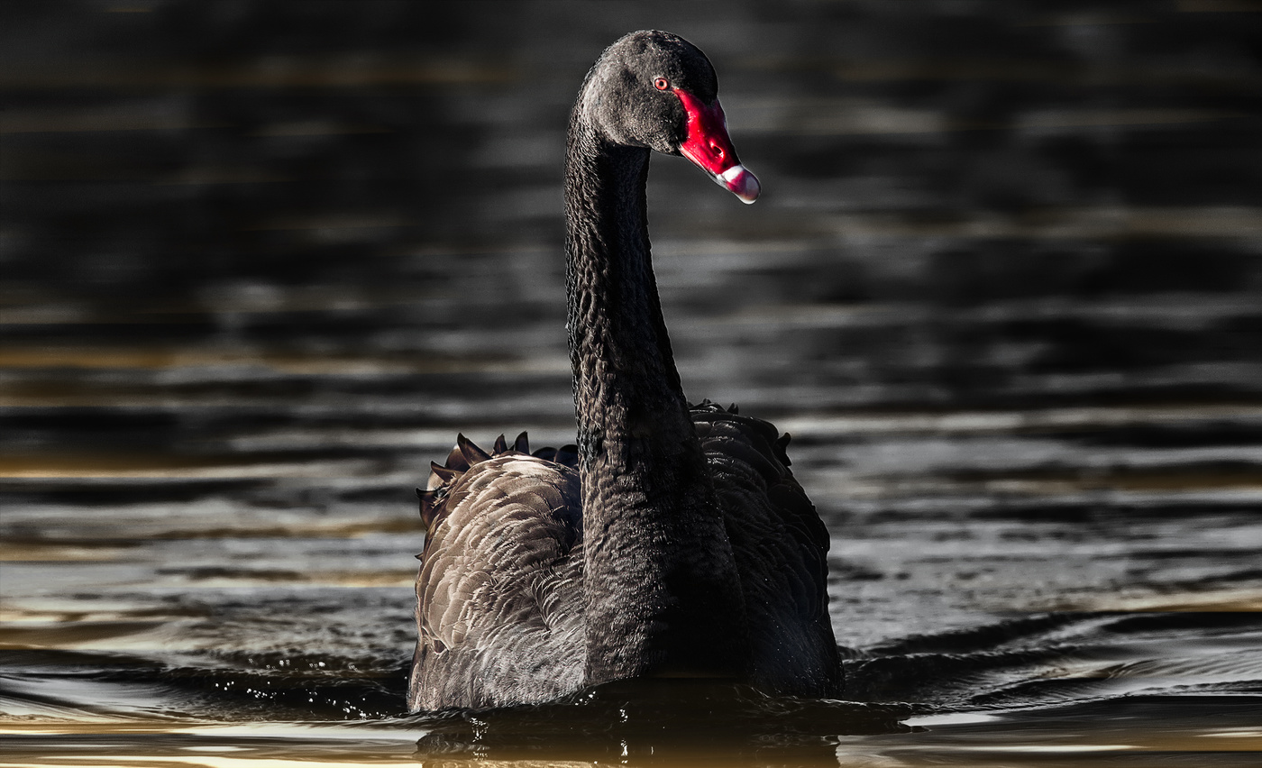 Самый самый...