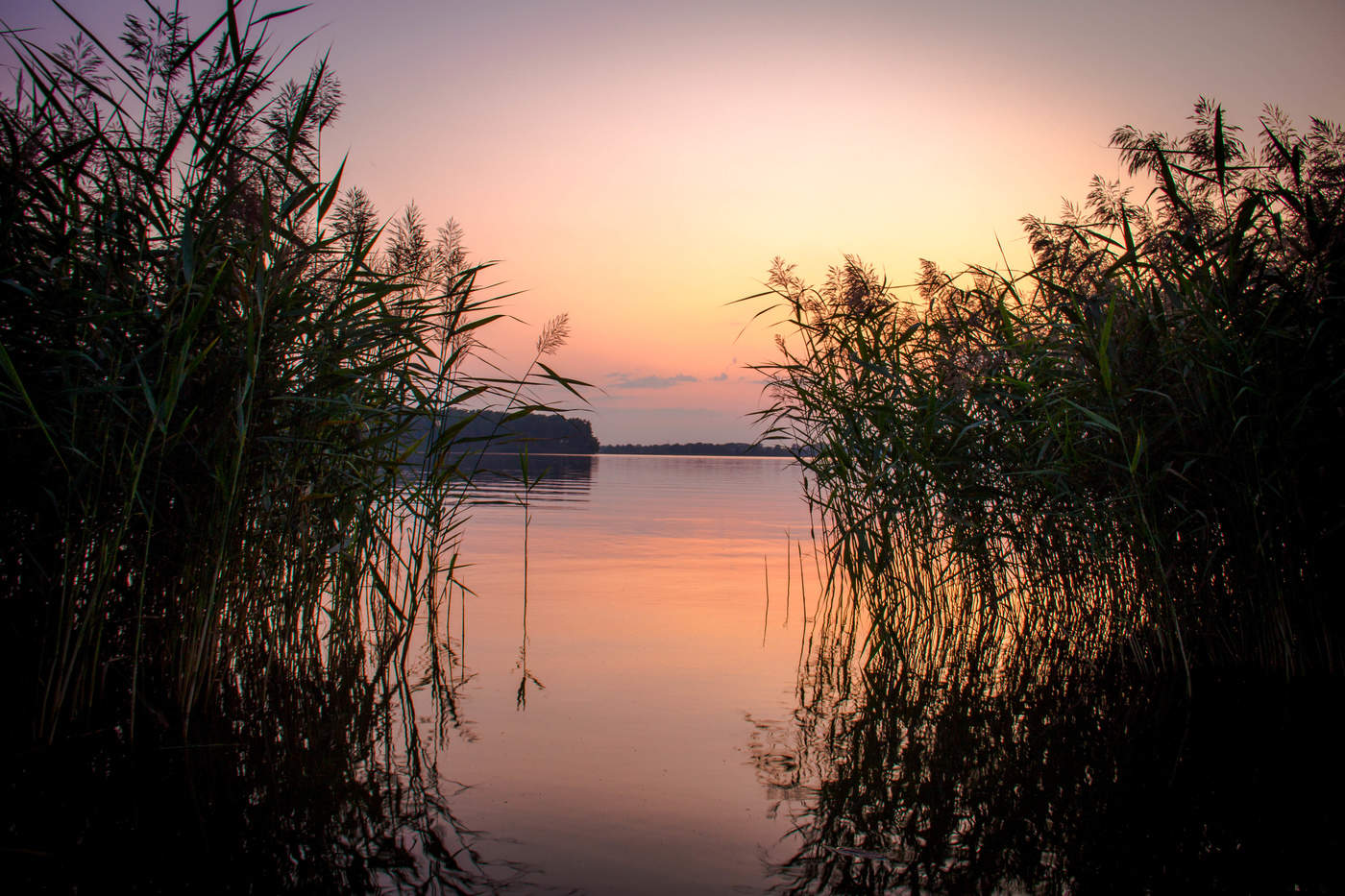 Летний вечер.