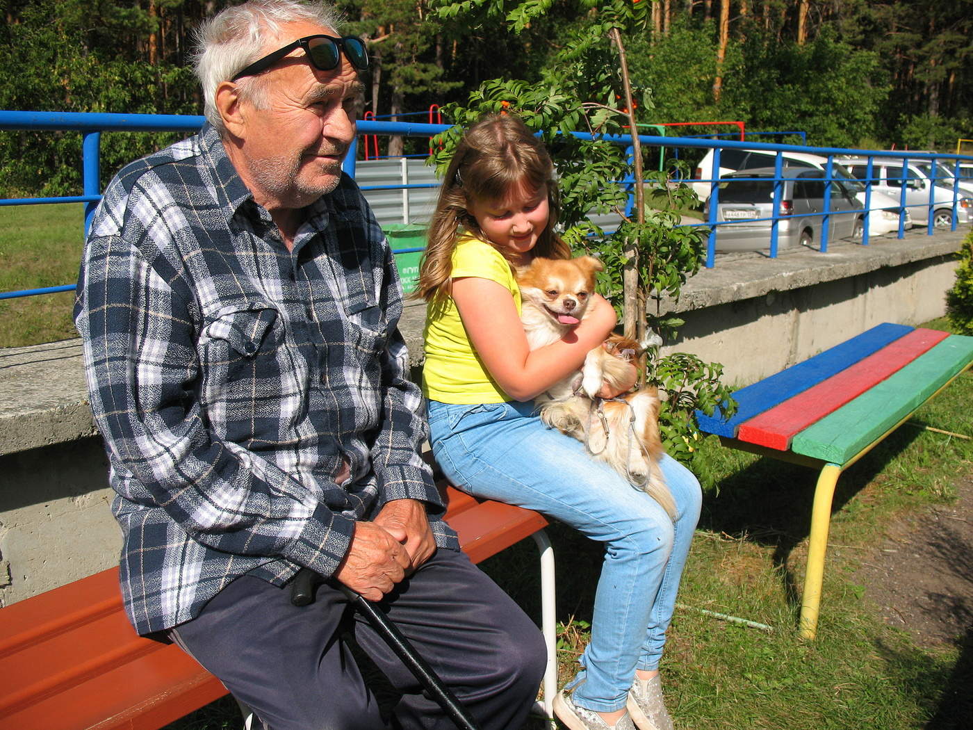 Человек собаке друг!