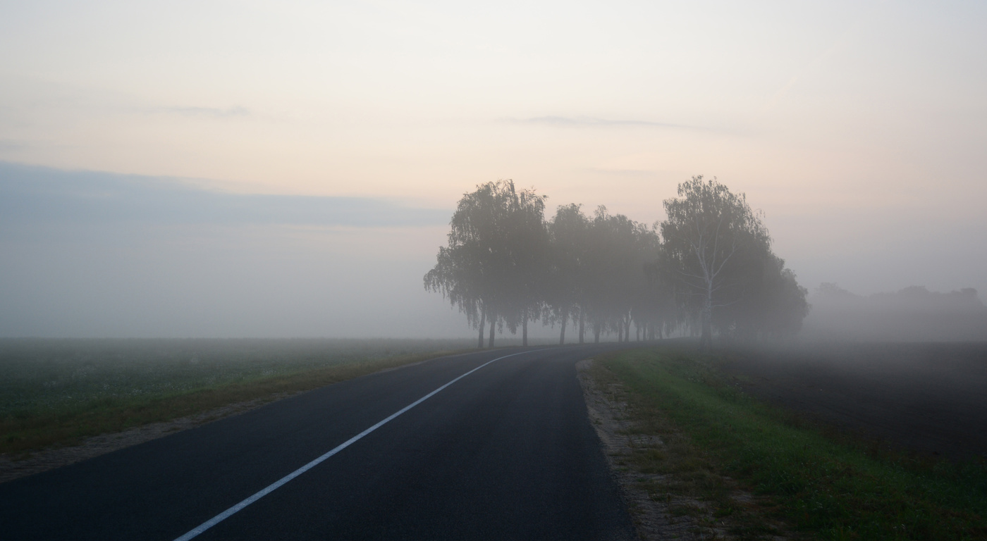 Туманная дорога