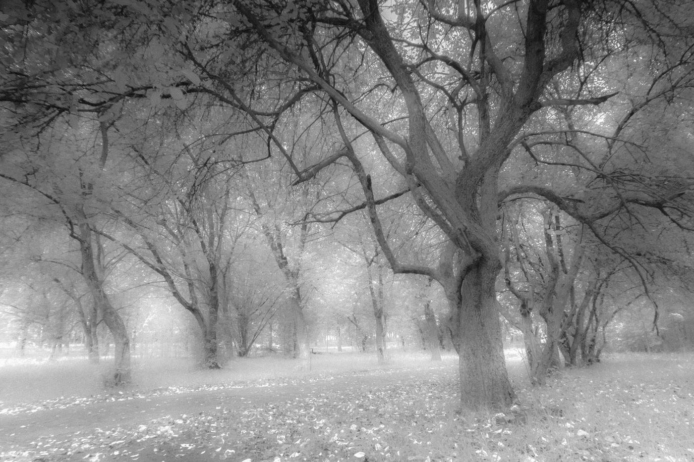 Там, на неведомых дорожках...