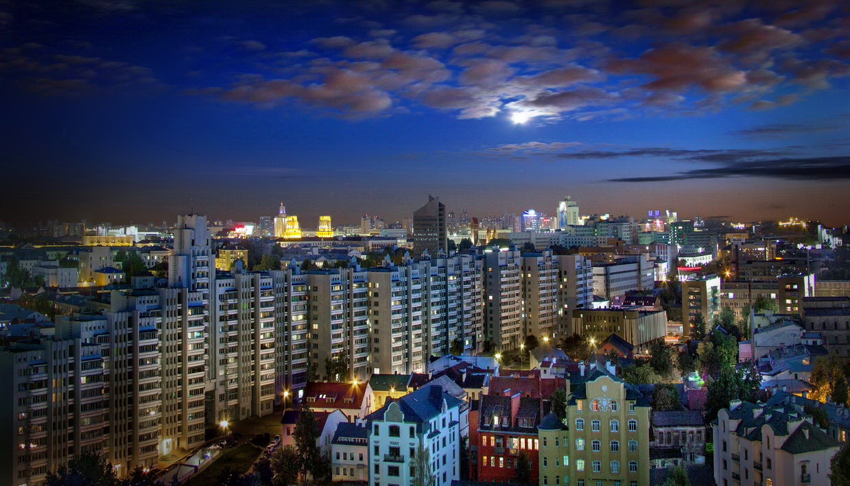 Городские джунгли