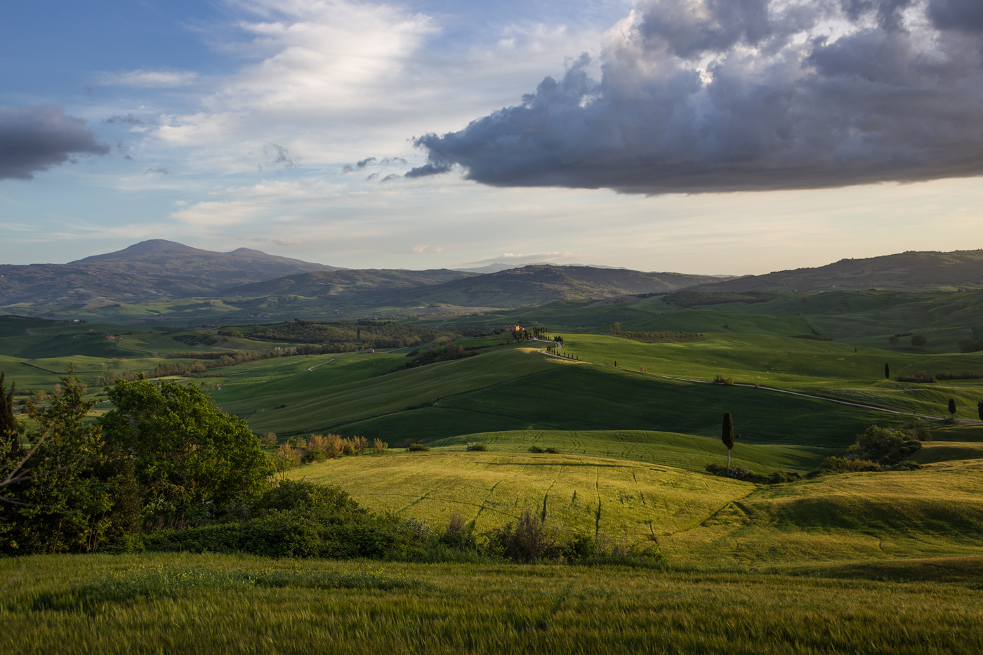 Под небом Тосканы