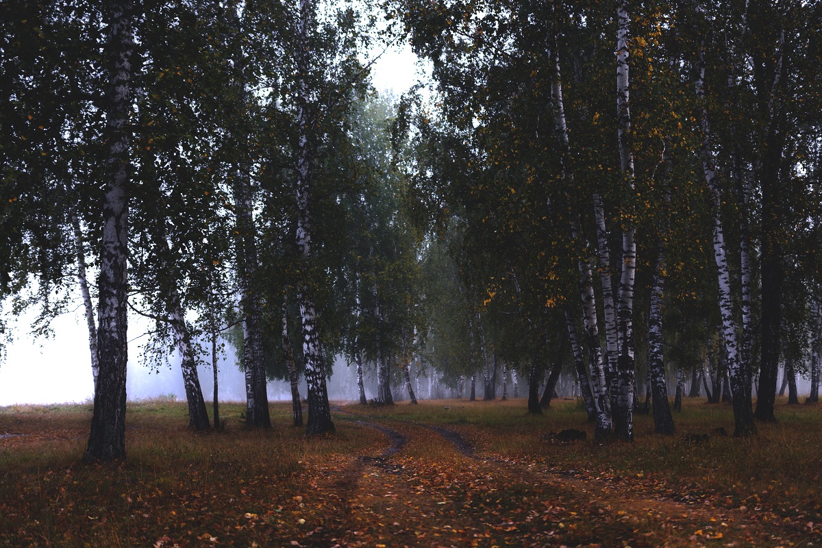 Настроение, осень...