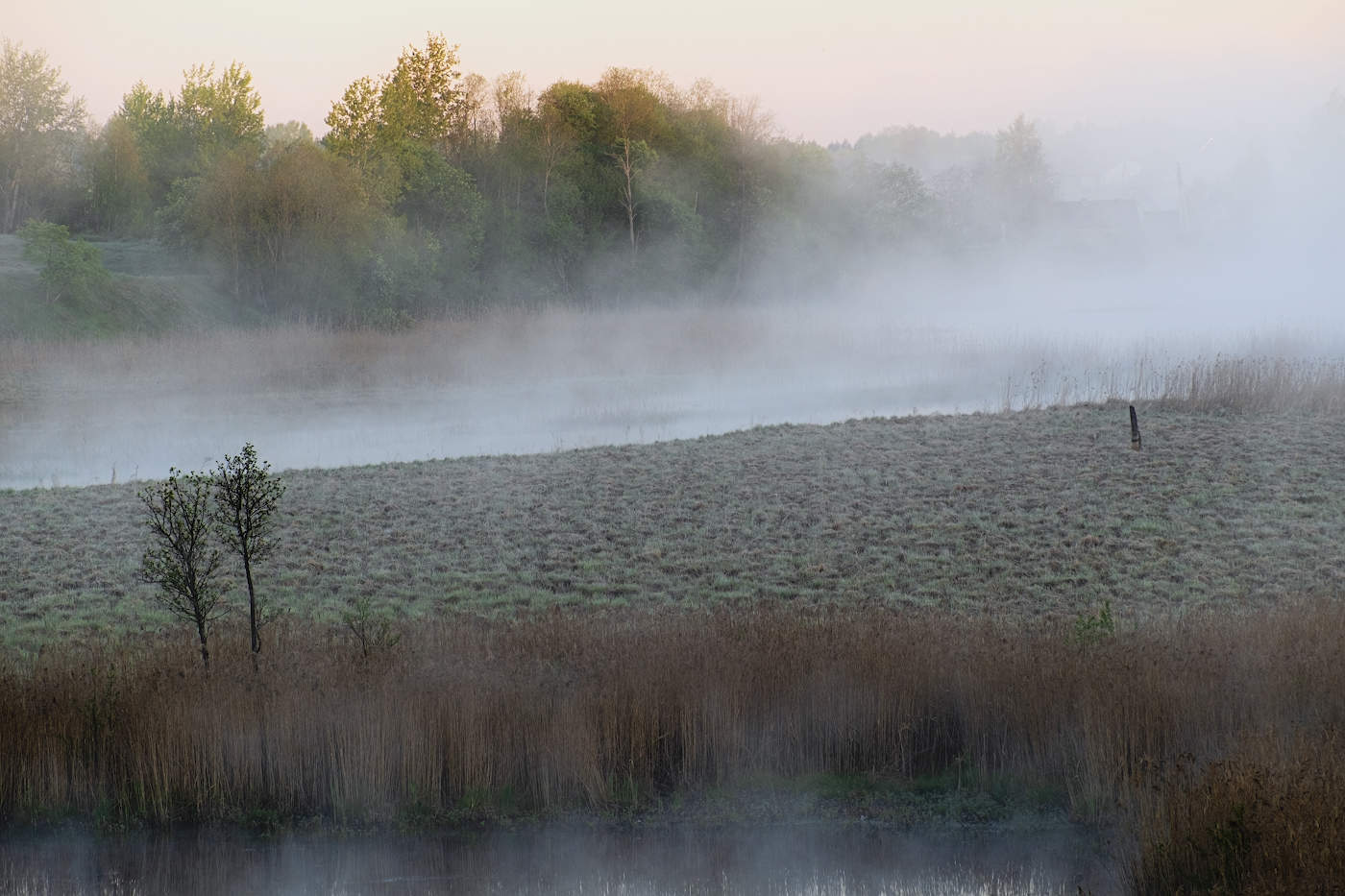 На фоне тумана