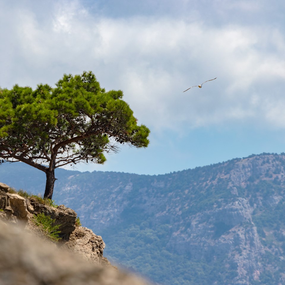 балаклавское...