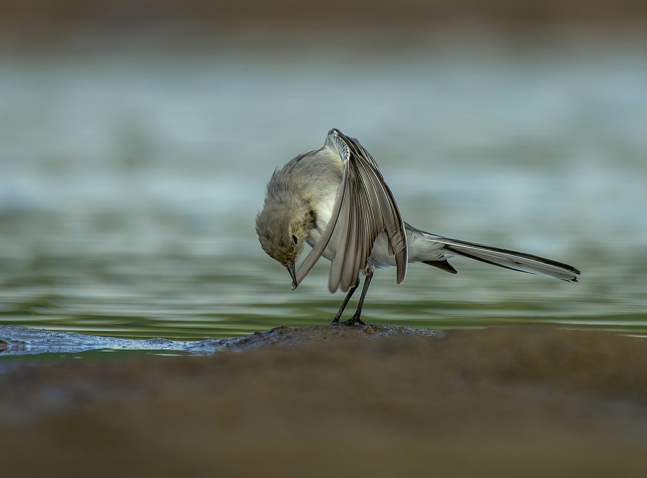 "Чистота ,залог здоровья"