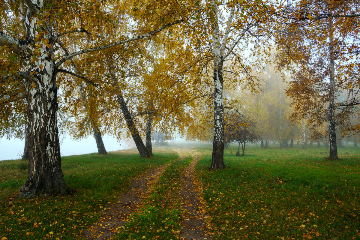 Вот и сентябрь уже