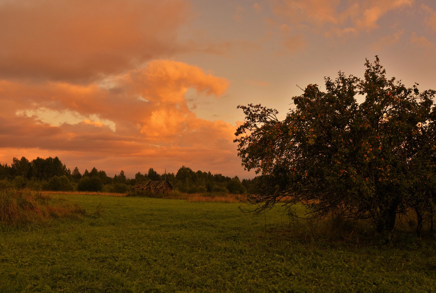 "О как прекрасен августовский вечер ..."