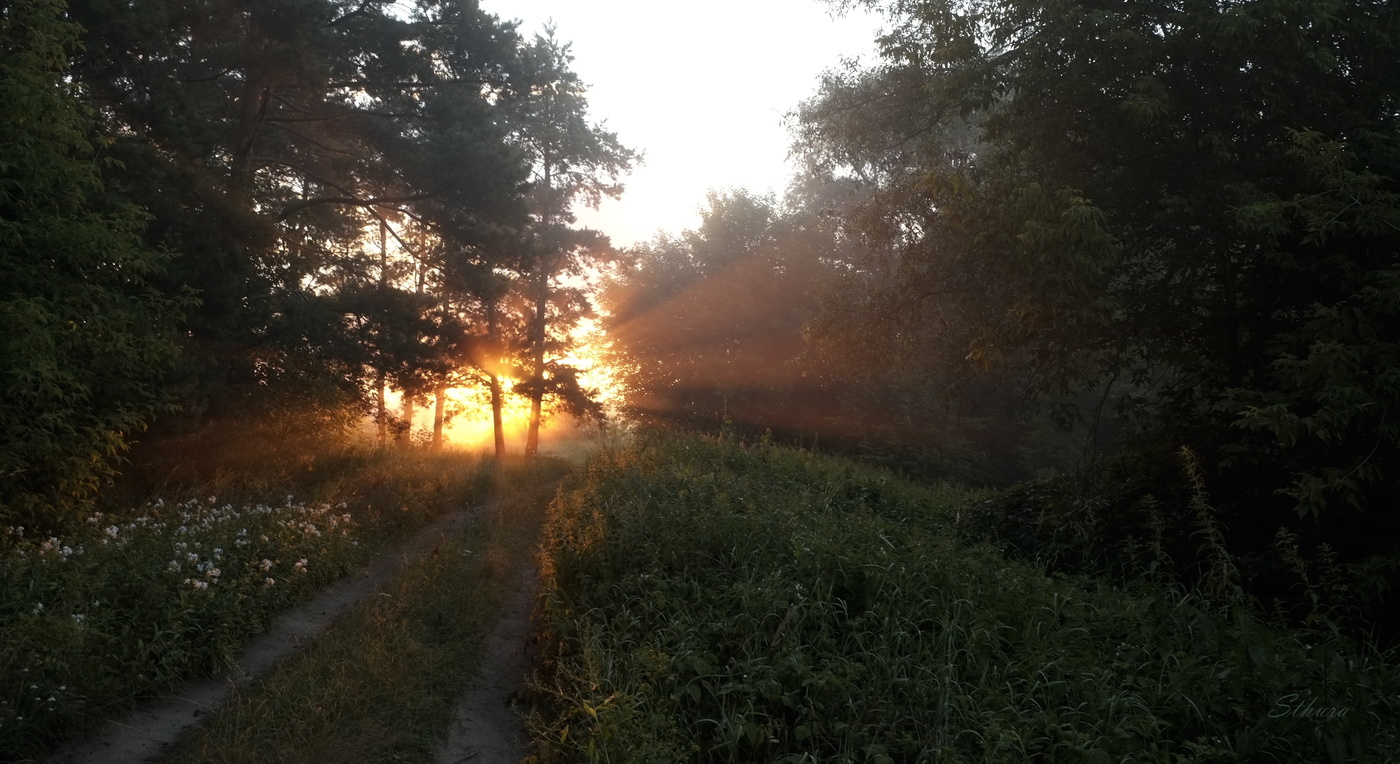 Дорога к рассвету.