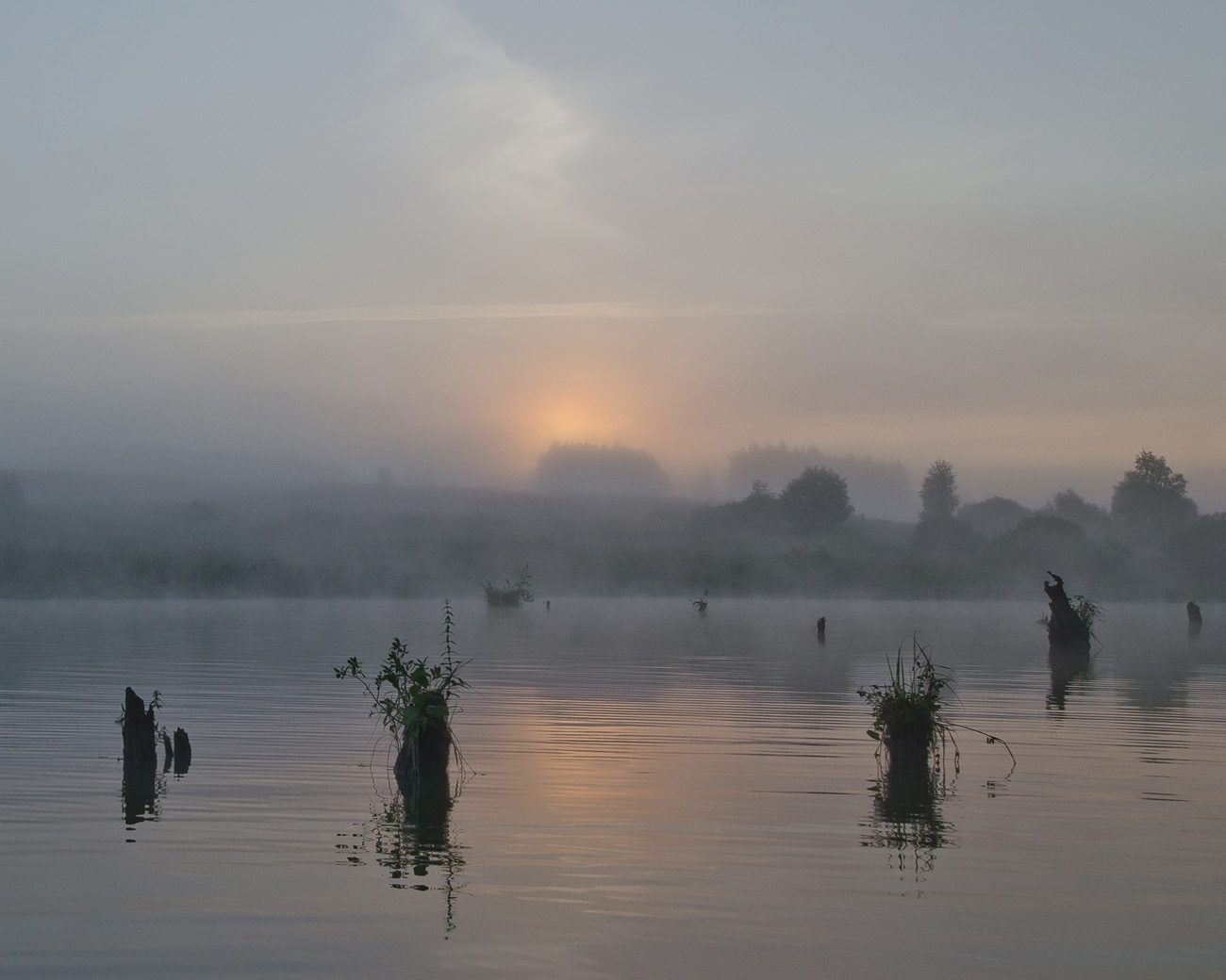 В озёрном краю