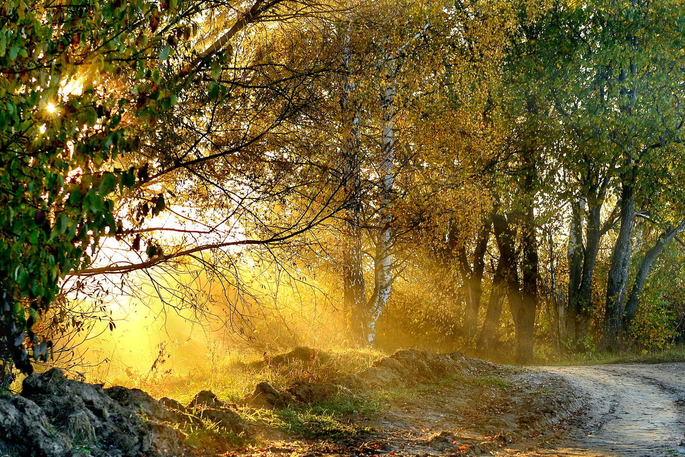 "Осенний свет