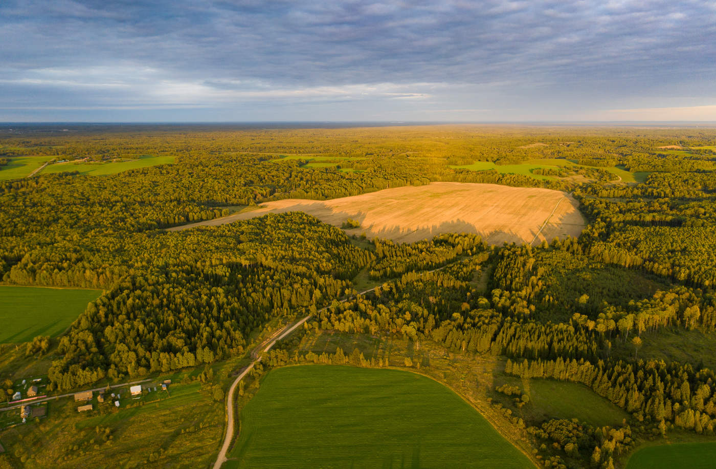 Леса и поля