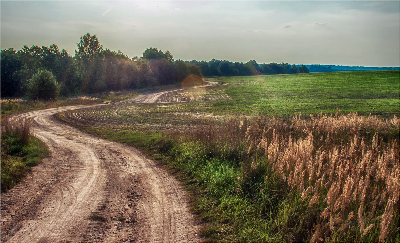 Эх, дороги...