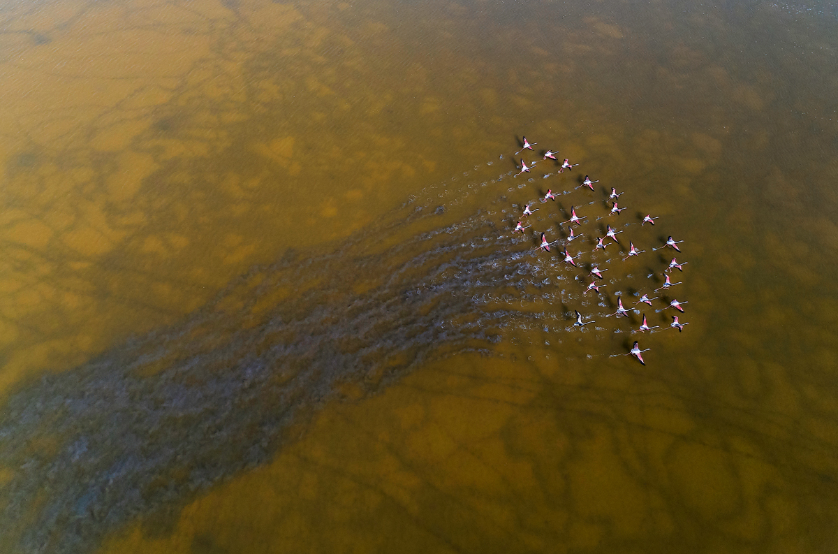 У каждого свой след...