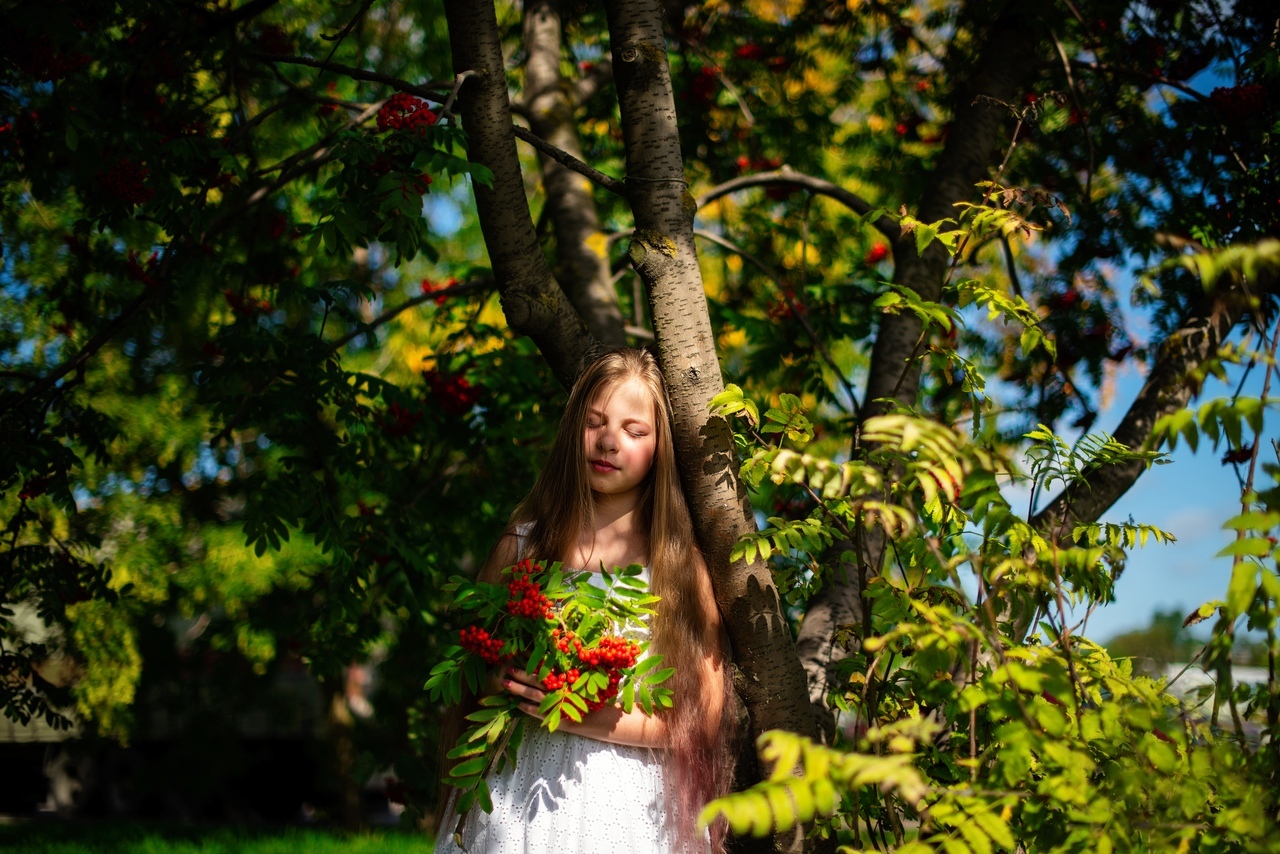 В тенистой аллее