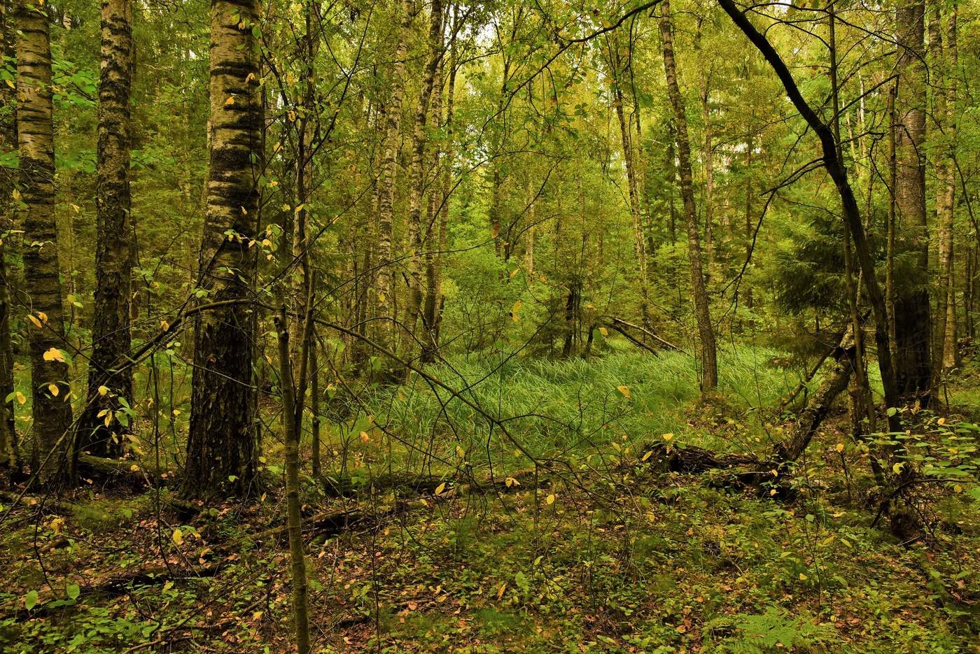 "Сентябрь - осенний месяц лишь отчасти..."