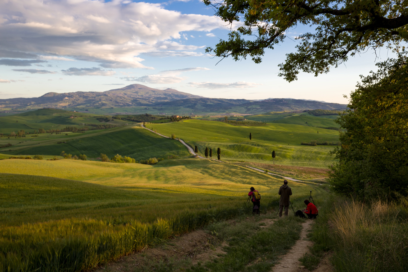 Запечетлеть красоту