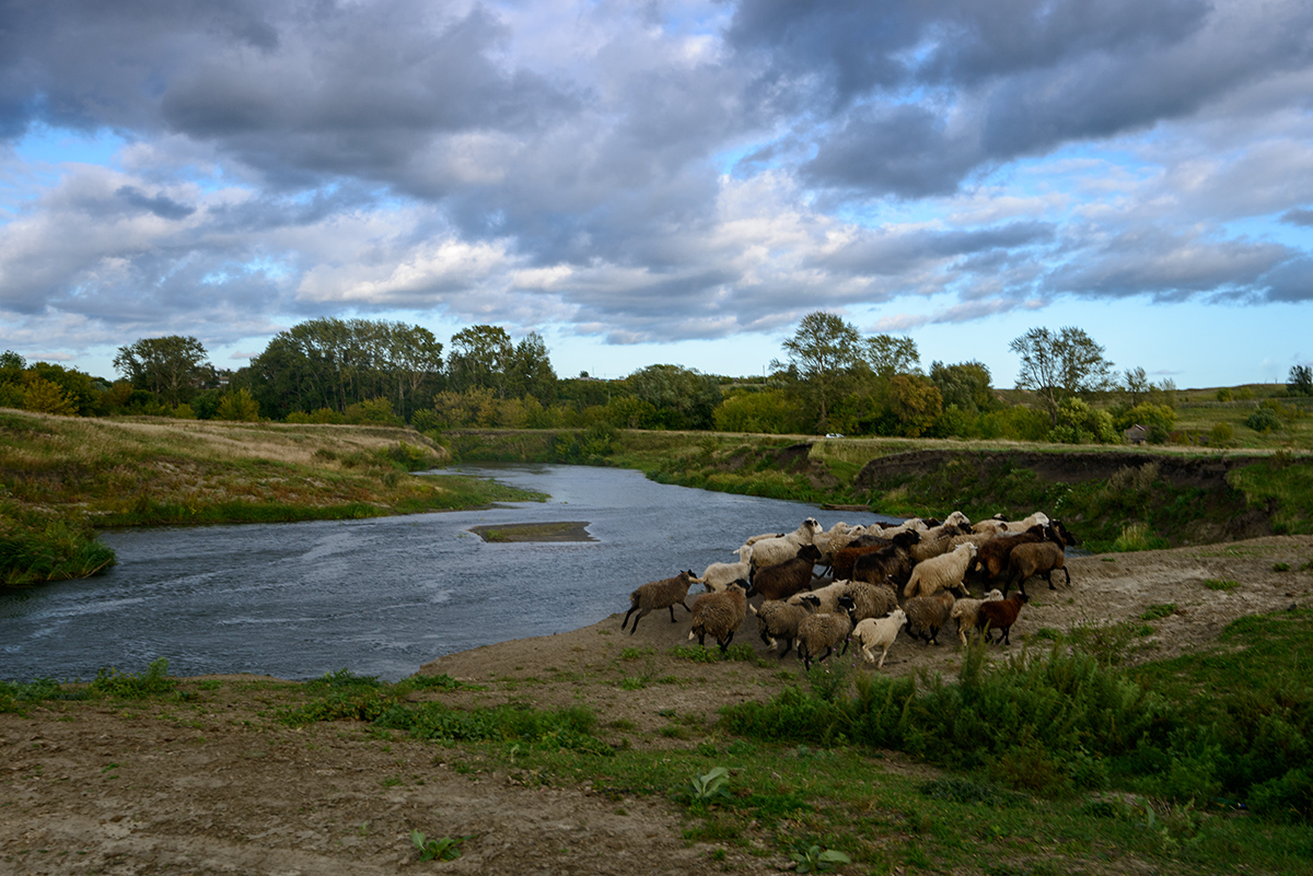 На Свияге...