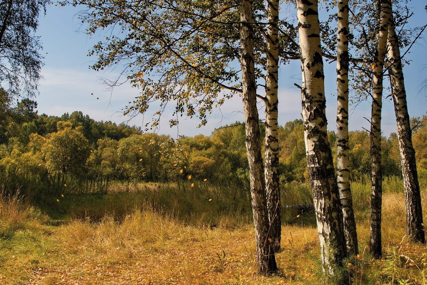 Начало листопада.