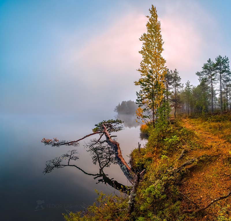 Тишина осени.