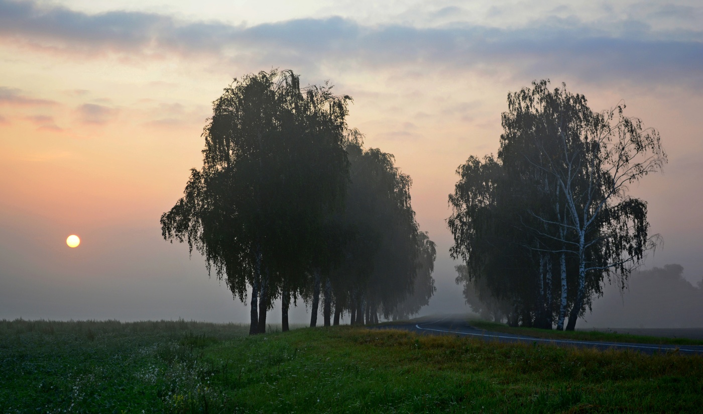 Утренний хоровод