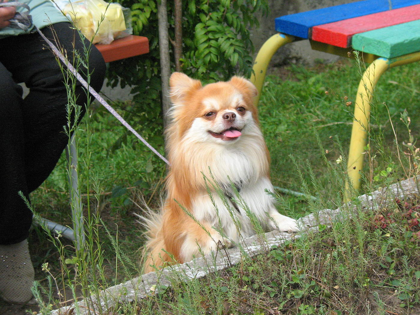 Связующее звено