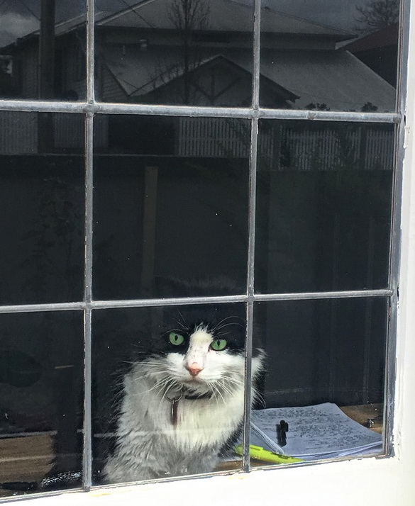 Связующее звено