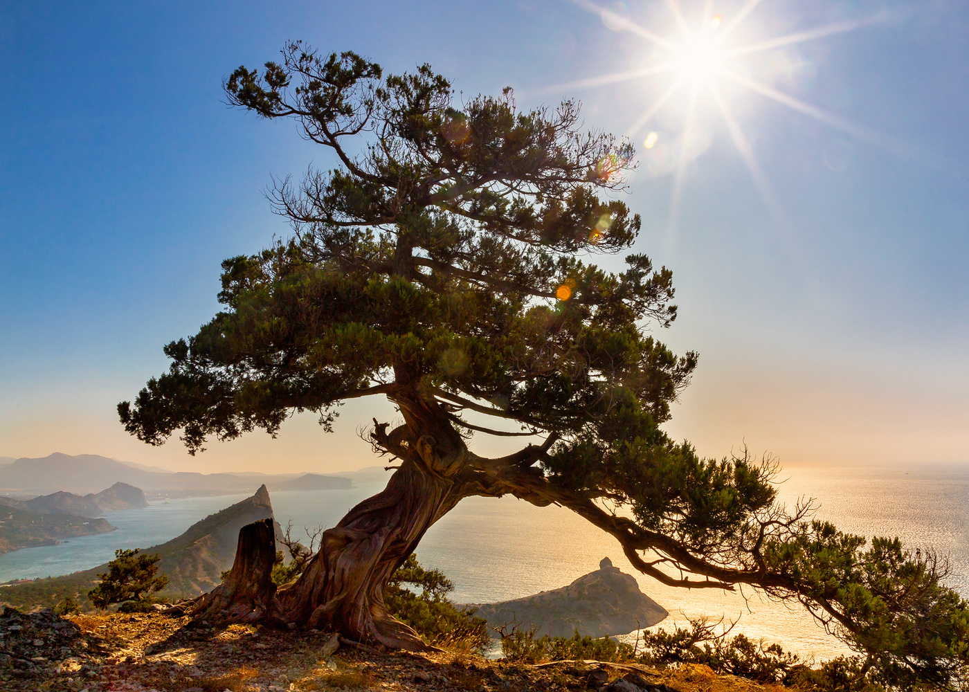 Под знойным солнцем