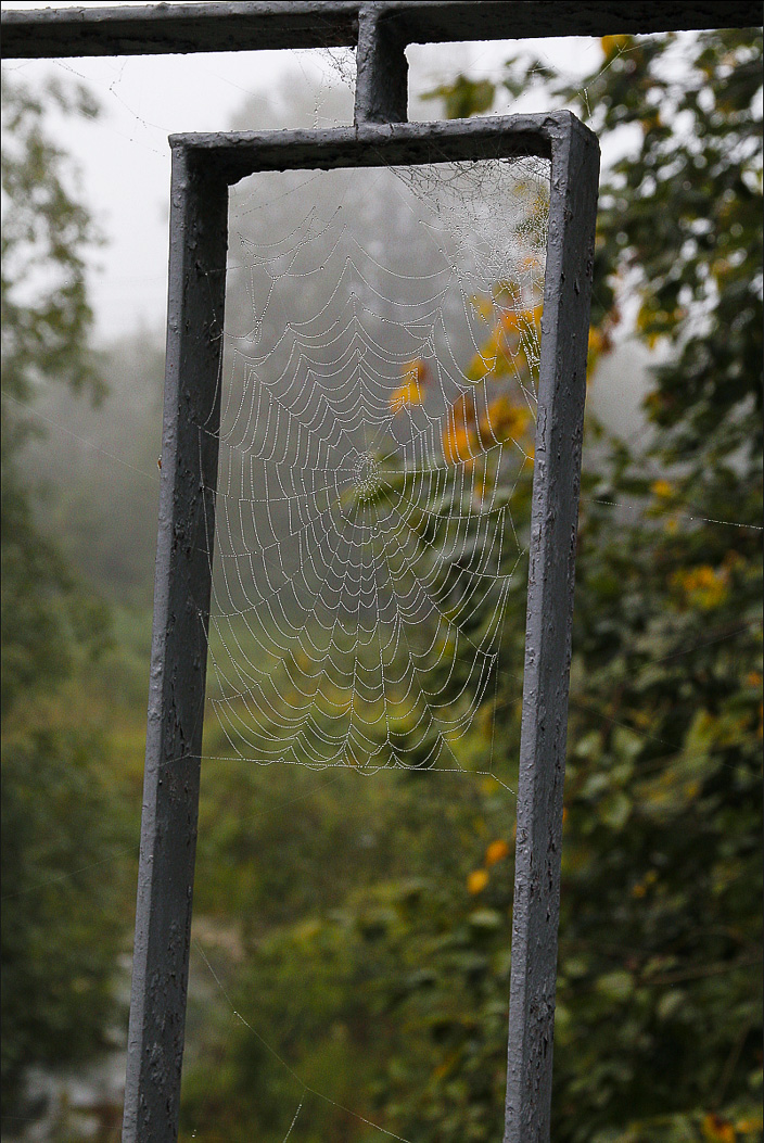 Связующее звено
